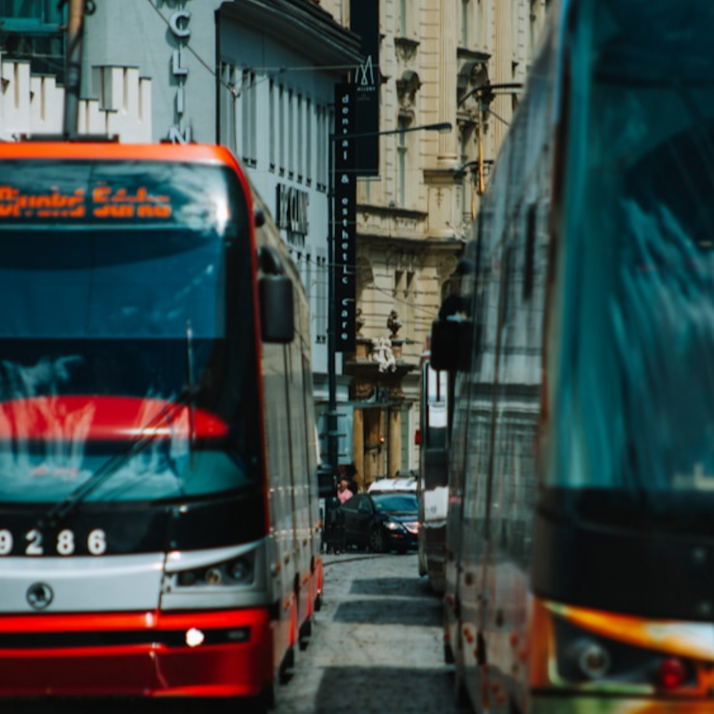 City Tour Day Pass