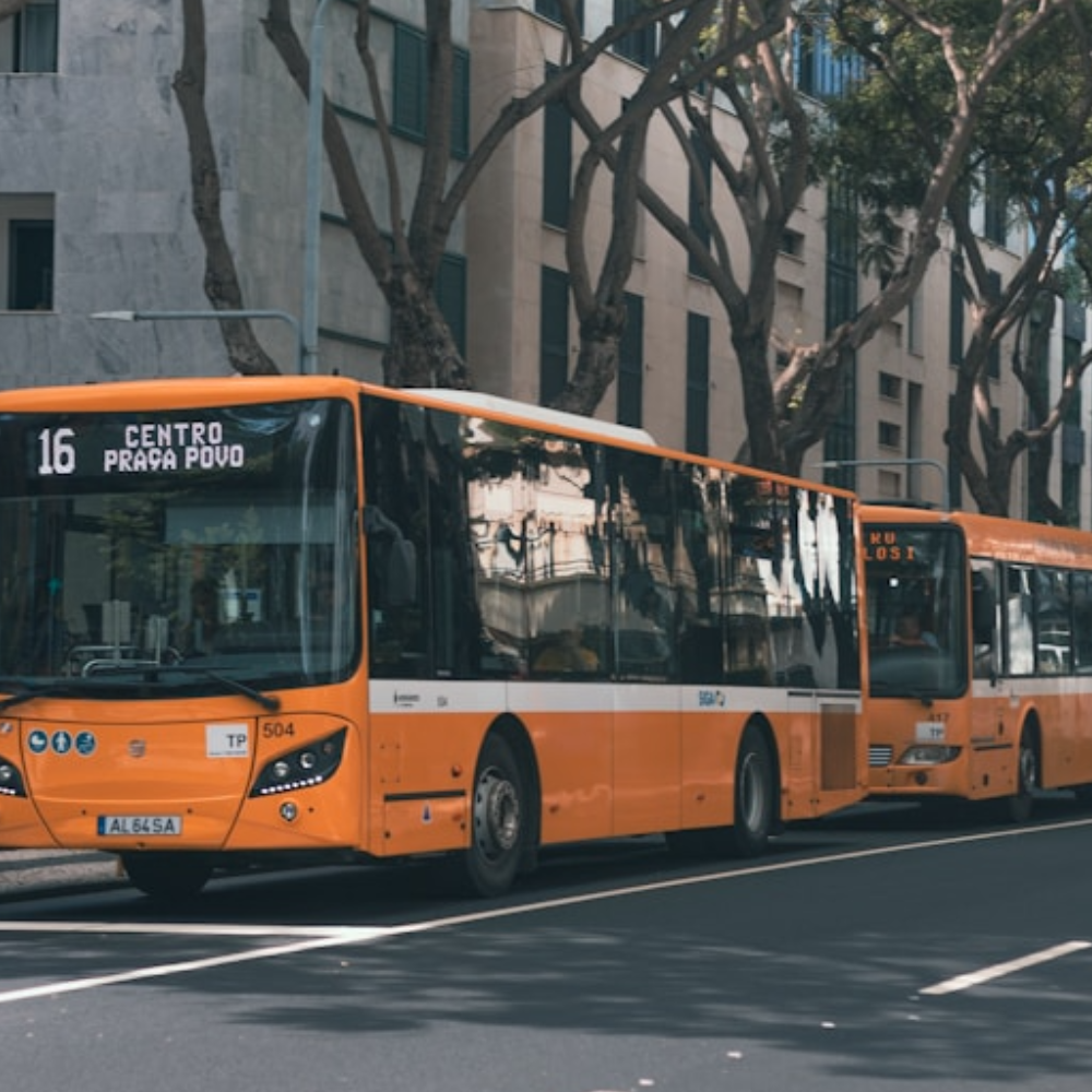 City Tour Day Pass