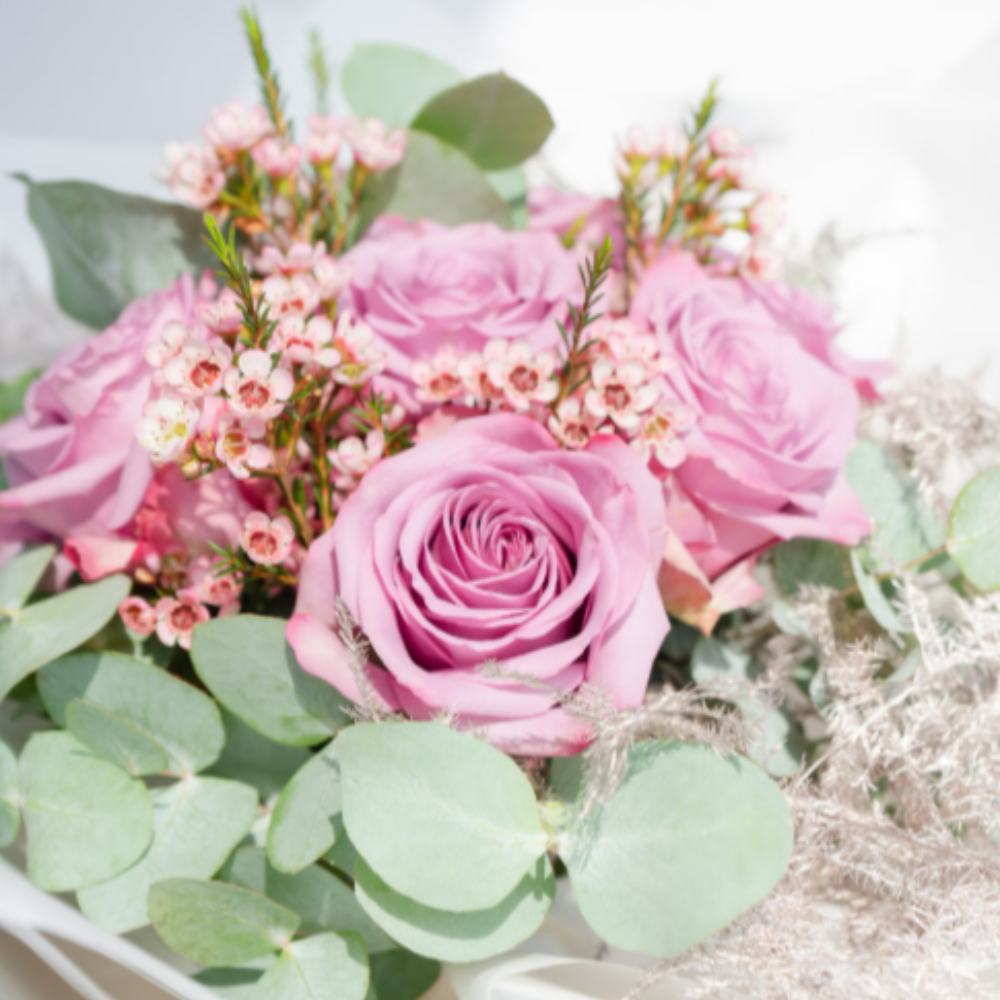 Blush Pink Garden Roses