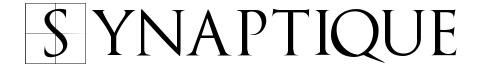Photo of Synaptique Consultancy Services Pte Ltd 