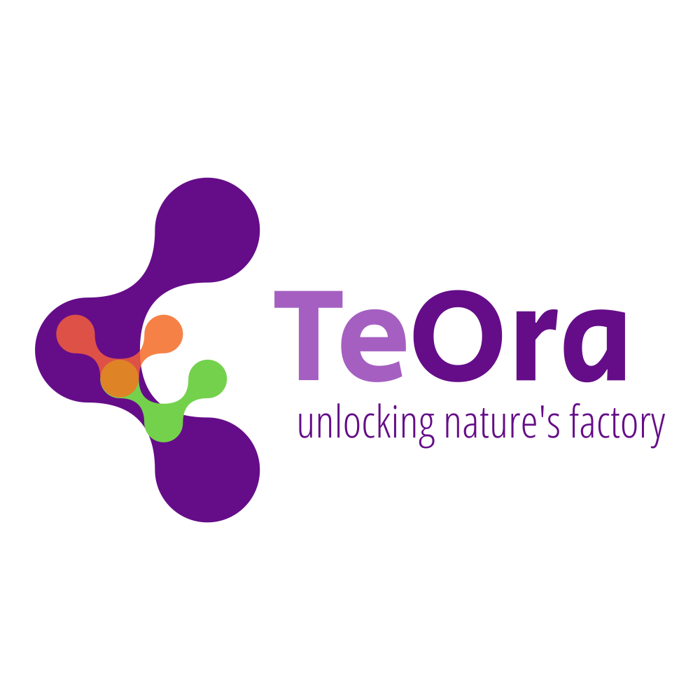 Photo of Teora 