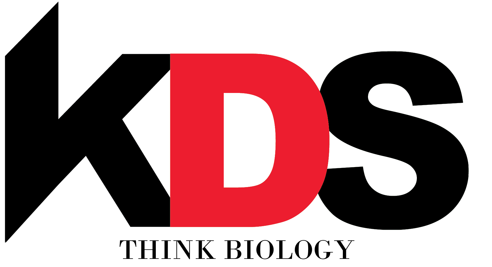 Photo of Kodeso (SEA) Pte Ltd 