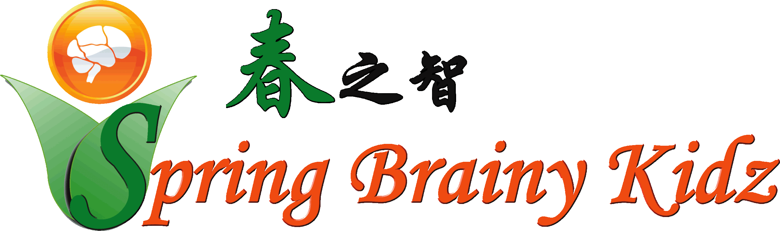 Photo of SPRING BRAINY KIDZ GROUP PTE. LTD. 
