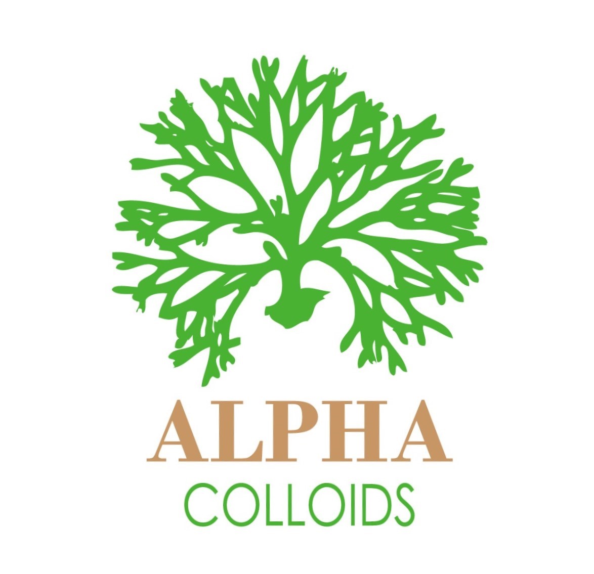 Photo of Alpha Colloids Pte Ltd 