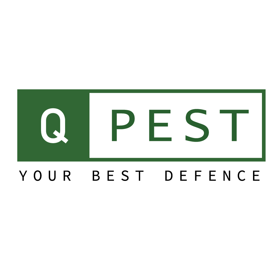 Photo of Q-PEST 