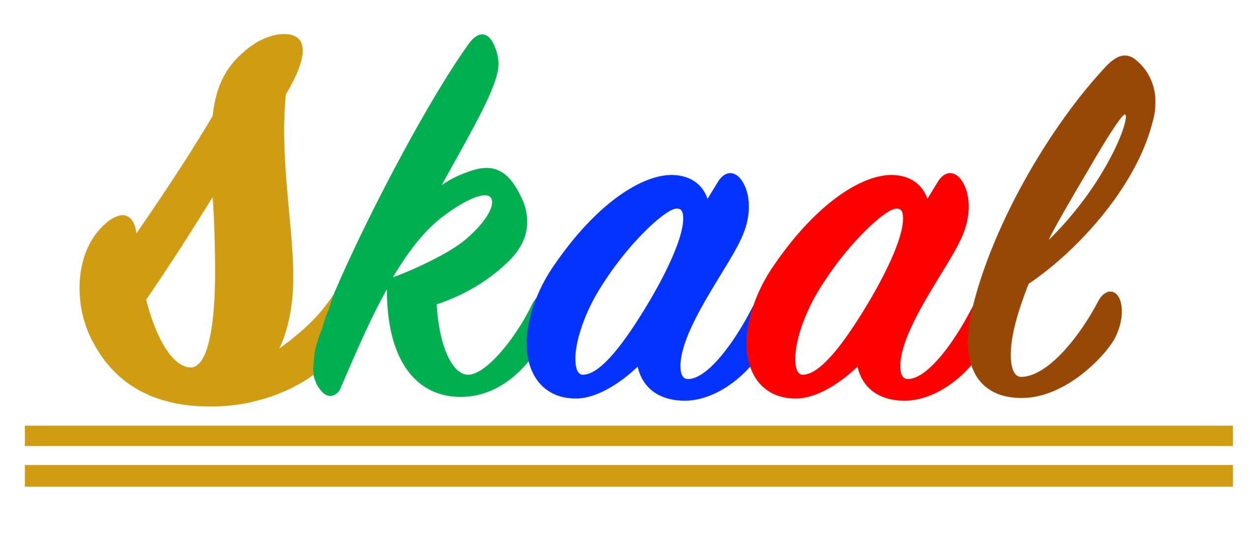 Photo of SKAAL PTE LTD 