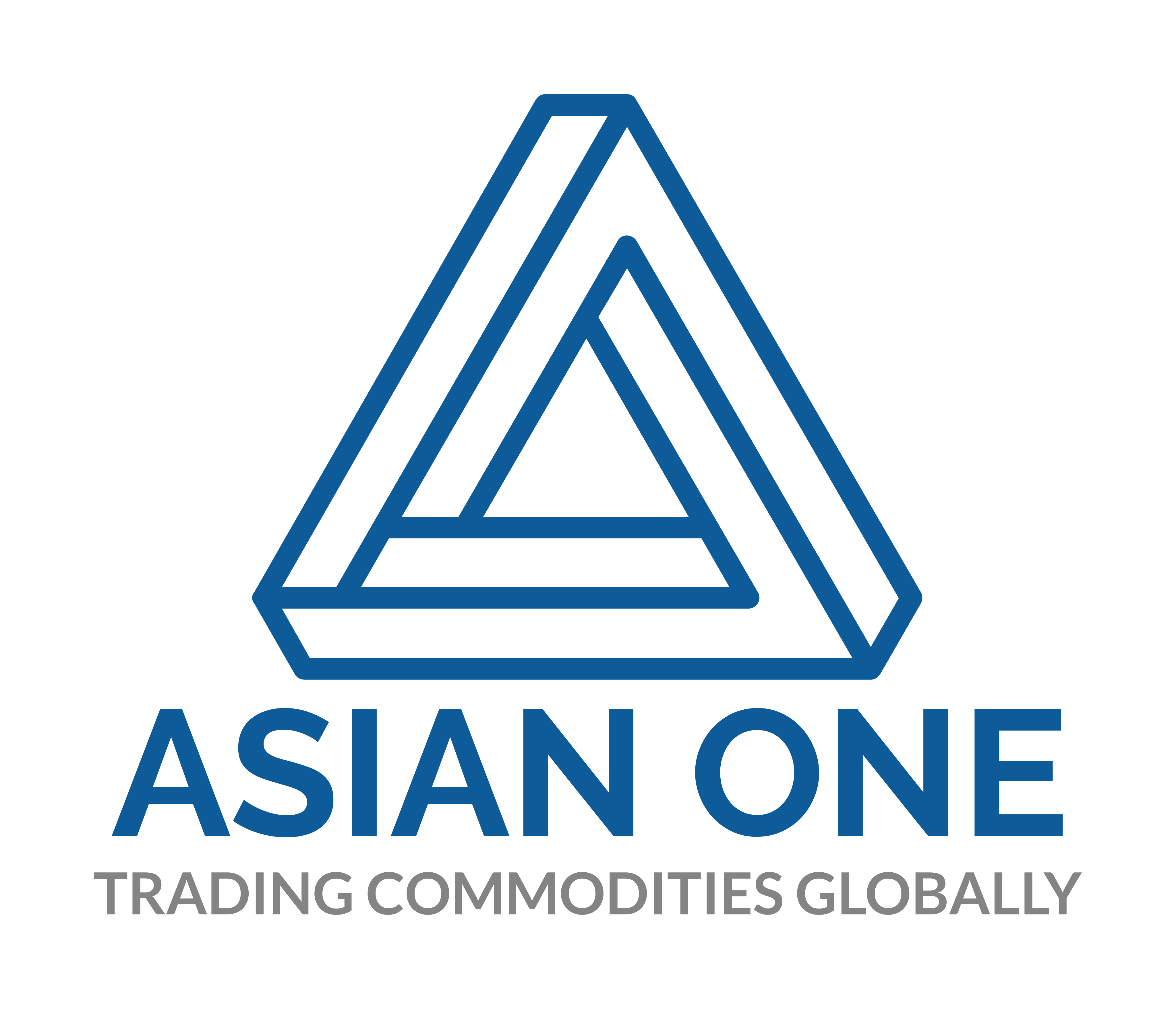 Photo of ASIAN ONE PTE LIMITED 