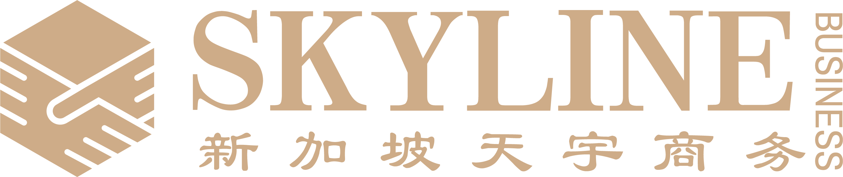 Photo of SKYLINE BUSINESS CONSULTING PTE.LTD. 