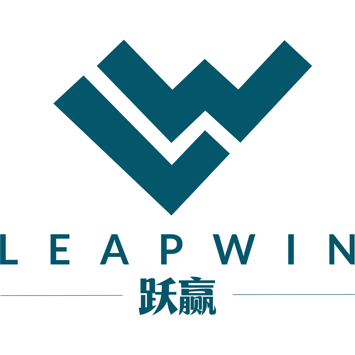 Photo of Leapwin Pte Ltd 