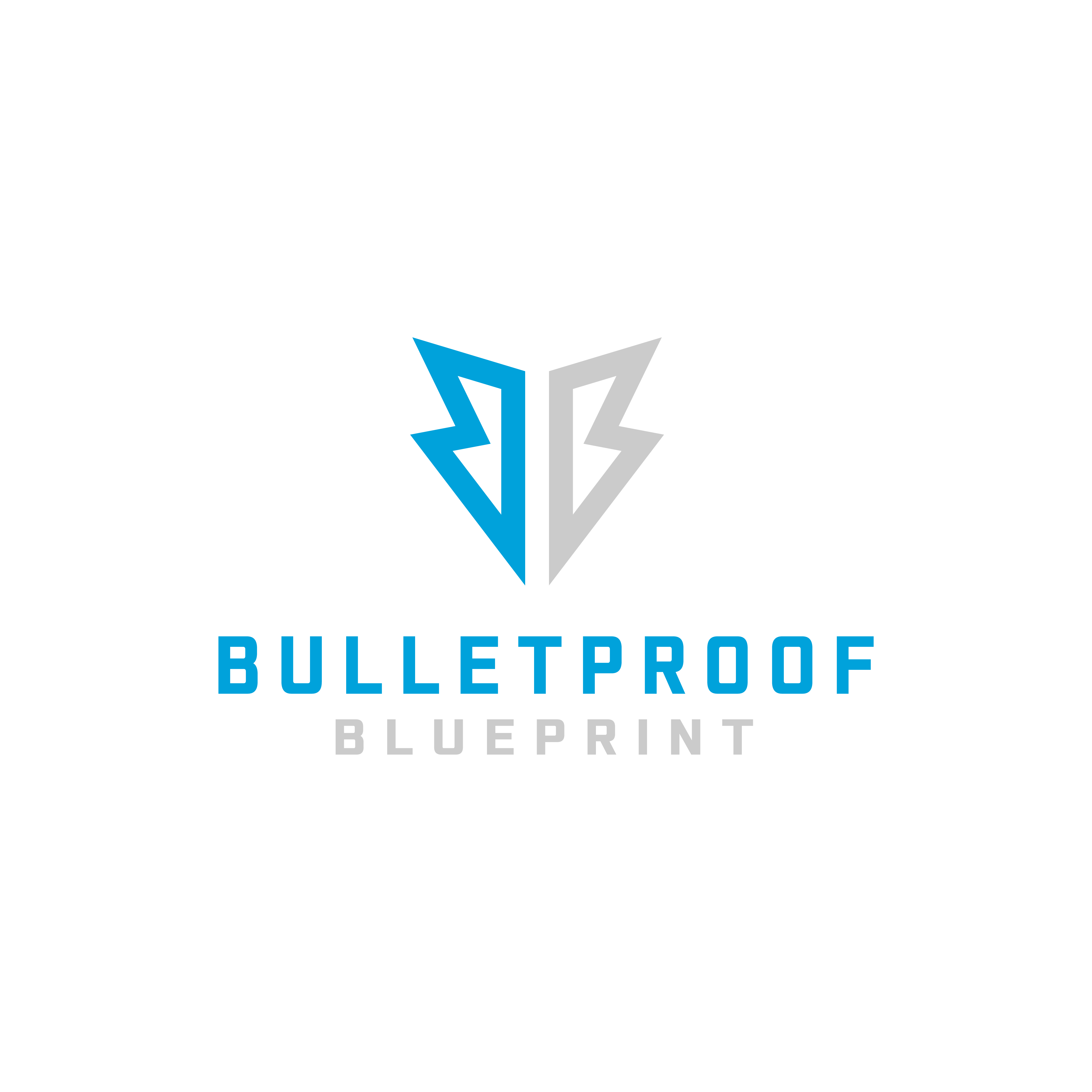 Photo of The Bulletproof Blueprint 