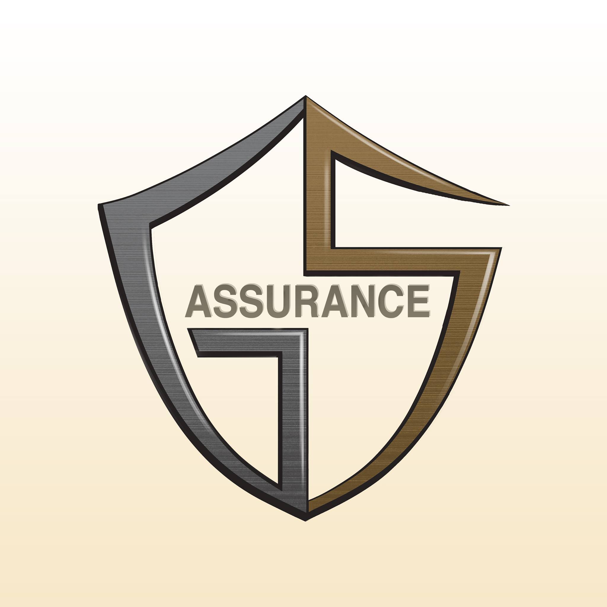 Photo of GS Assurance Agency Pte Ltd 