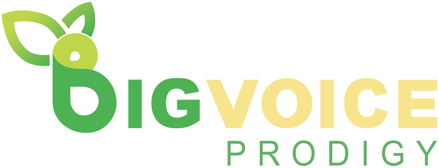 Photo of Bigvoice Prodigy Renovation & Disposable Services Pte Ltd 