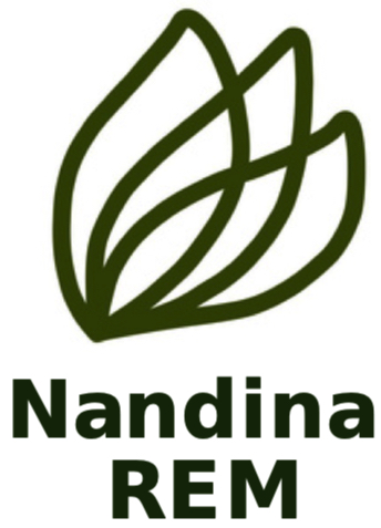 Photo of Nandina Remanufacturing Pte. Ltd. 