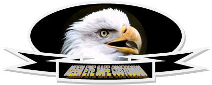 Photo of Eagle I Security Services Pte. Ltd. 