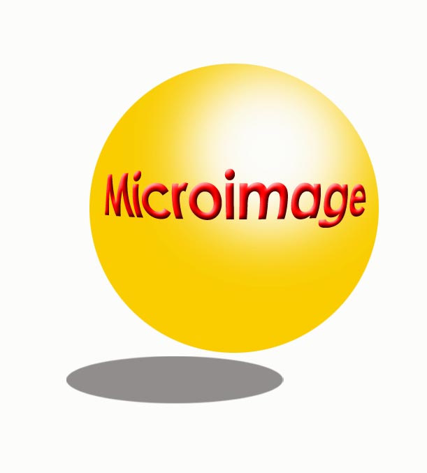 Photo of MICROIMAGE SYSTEMS PTE LTD 