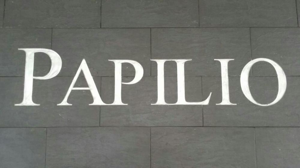 Photo of PAPILIO SALON 