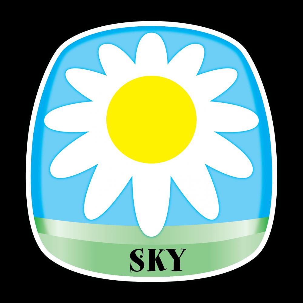 Photo of Sky Floral Trading and Landscape Pte Ltd 