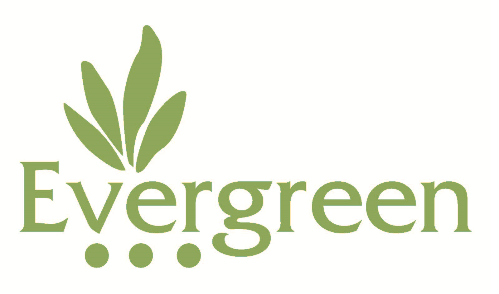 Photo of Evergreen Landscape &amp Construction Pte Ltd 