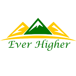 Photo of EVER HIGHER DATA RECOVERY CENTRE SINGAPORE PTE LTD 