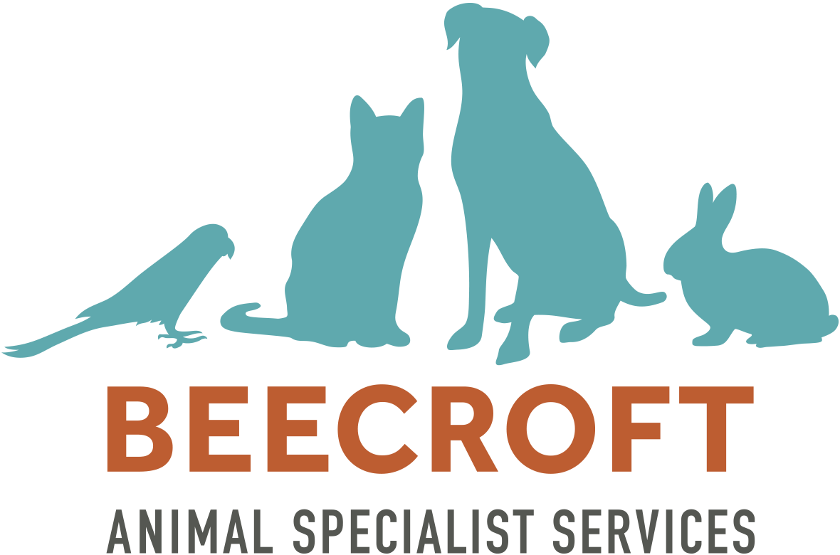 Photo of Beecroft Animal Specialist Services Pte Ltd 