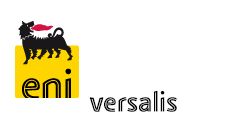 Photo of Versalis Singapore Pte. Ltd. 